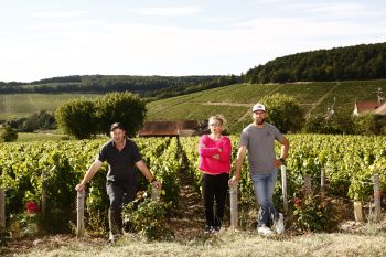 Le domaine - Domaine du Château de Fleys